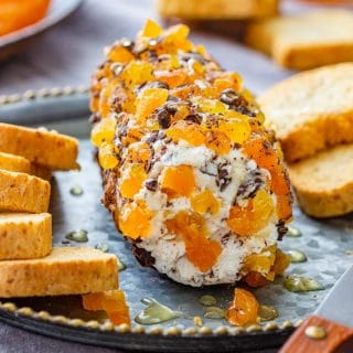 Apricot Goat Cheese Log