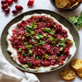 Homemade cranberry cream cheese dip topped with fresh cranberries, spring onions and jalapeno.