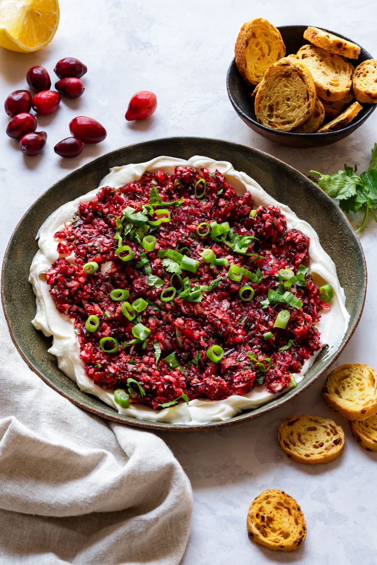 Homemade cranberry cream cheese dip topped with fresh cranberries, spring onions and jalapeno.