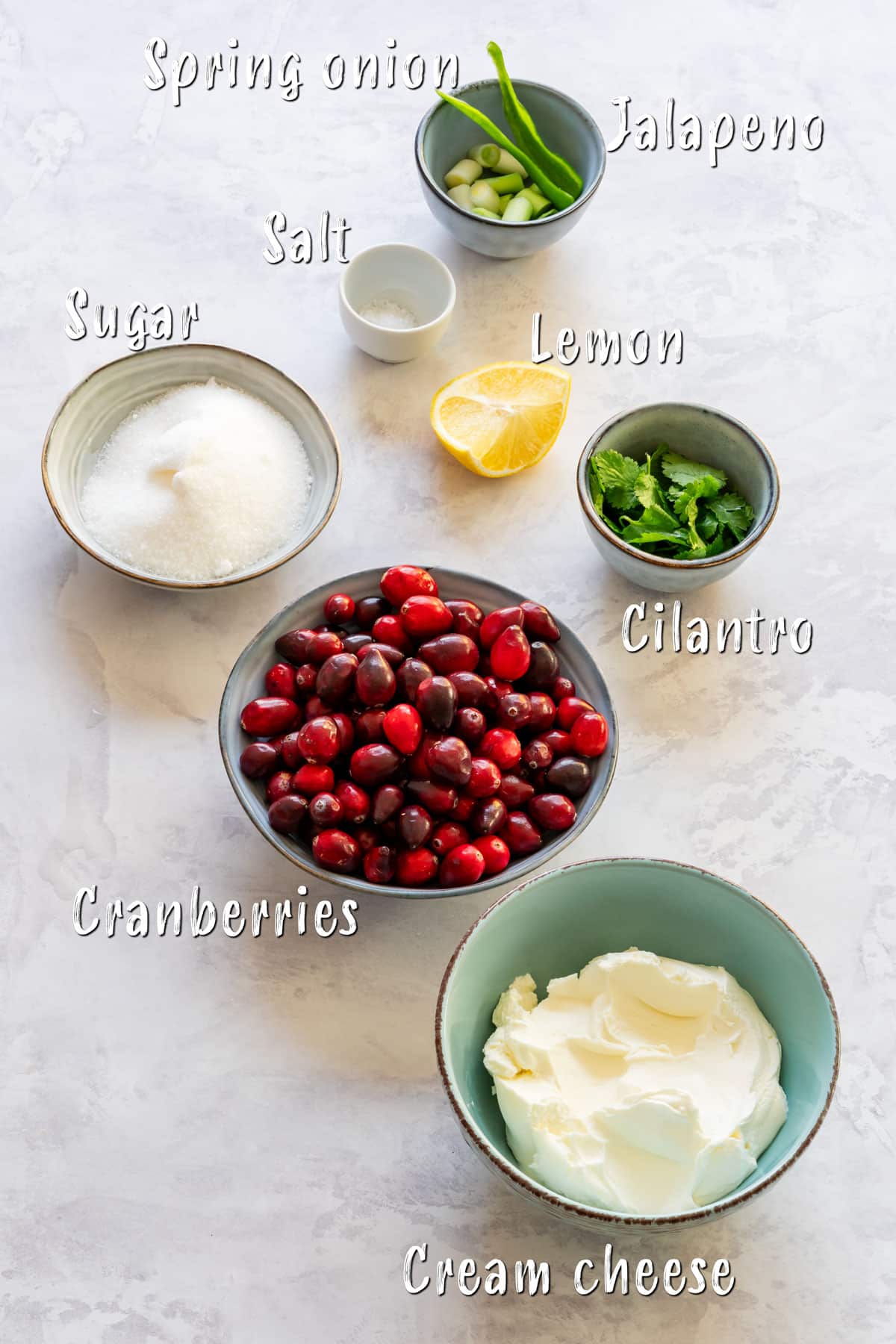 Ingredients of the cream cheese dip with cranberries.