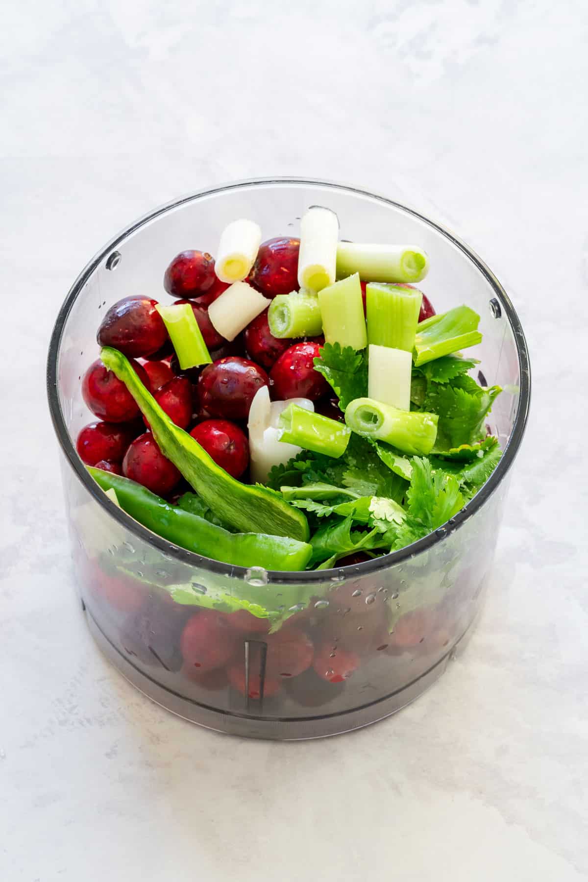 Fresh cranberries, spring onions, cilantro and jalapeno in a food processor.