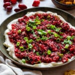 Cranberry cream cheese salsa dip garnished with green onions, surrounded by cranberries, lemon and bread slices.